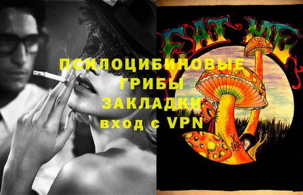 гидропоника Кодинск