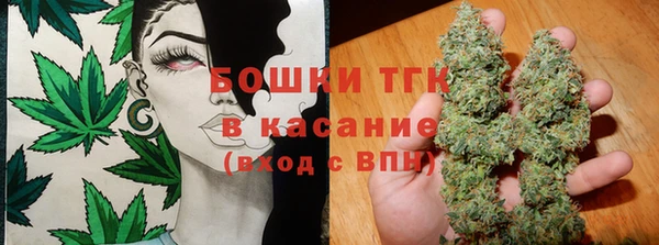 ECSTASY Костерёво