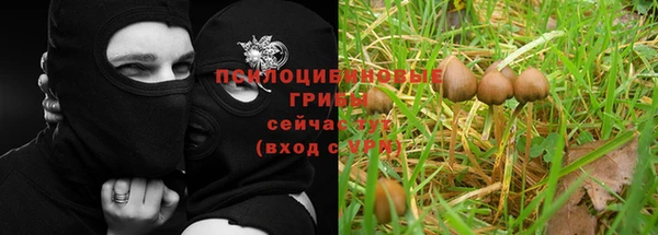 не бодяженный Коряжма
