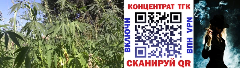 Дистиллят ТГК концентрат  Щёлкино 